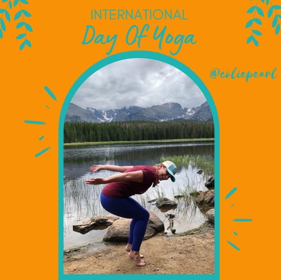 Meet your Posher, Colie - Picture 8 of 8